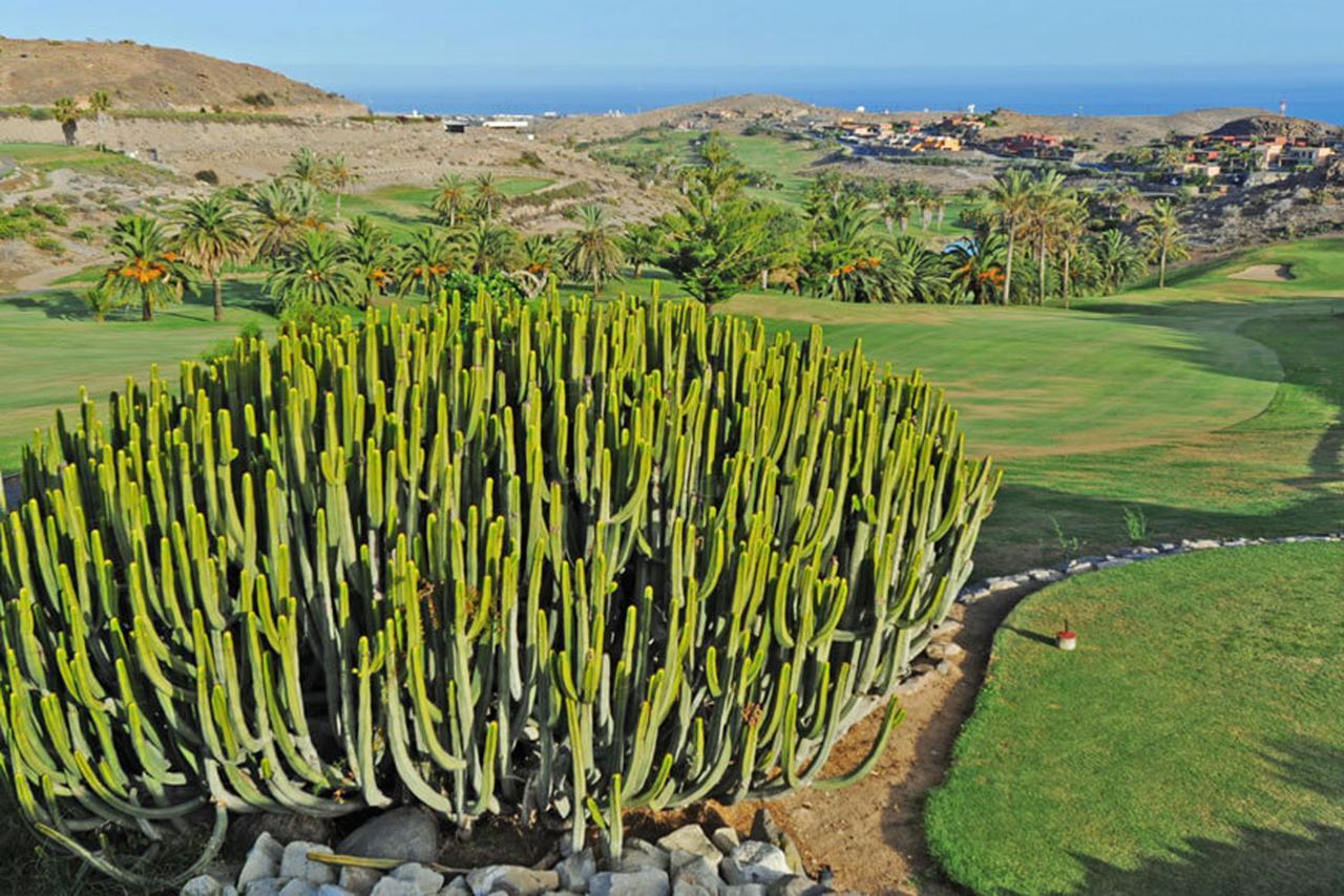 Salobre Las Terrazas 10 ماسبالوماس المظهر الخارجي الصورة